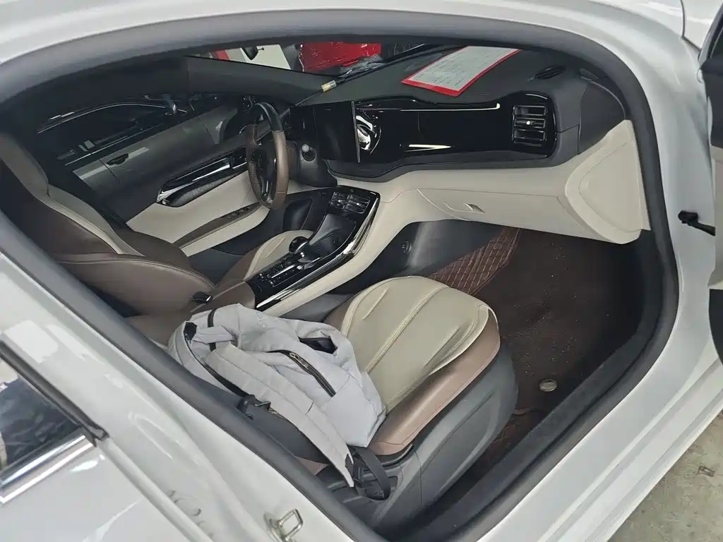 BYD Qin PLUS — миниатюра 20