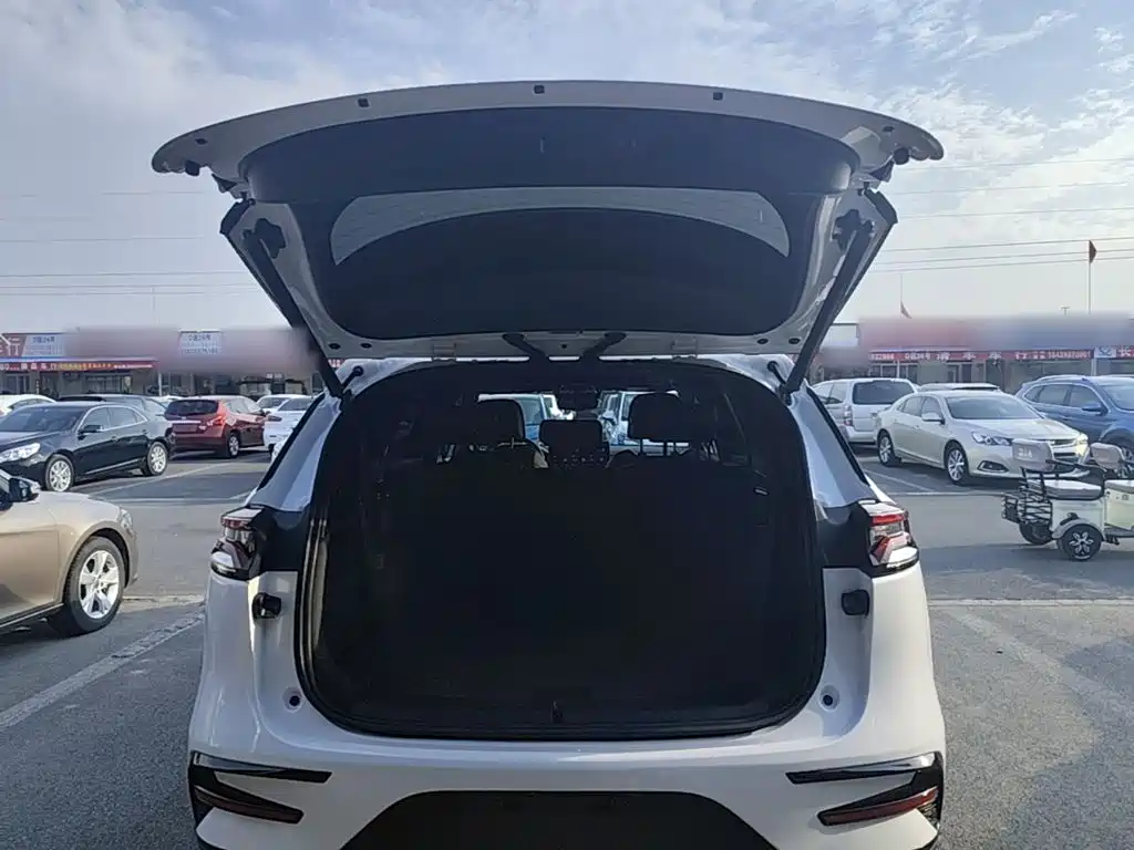BYD Tang New Energy — миниатюра 19