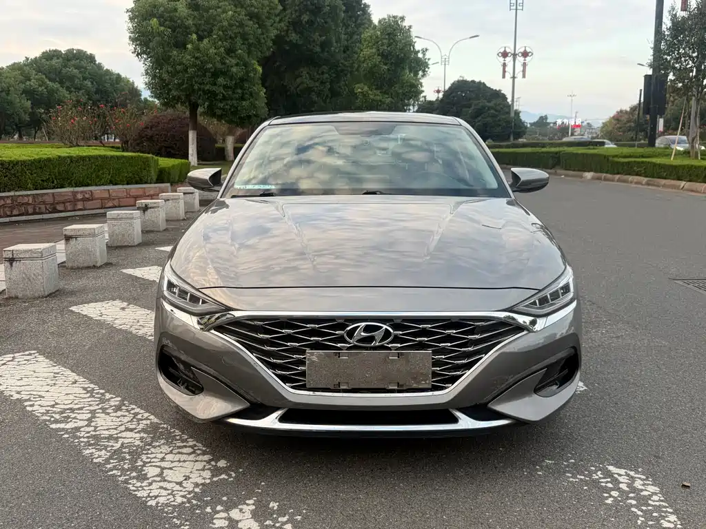 Hyundai Fista — миниатюра 2