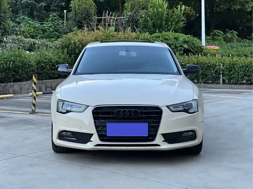 Audi A5 (Import) — миниатюра 2