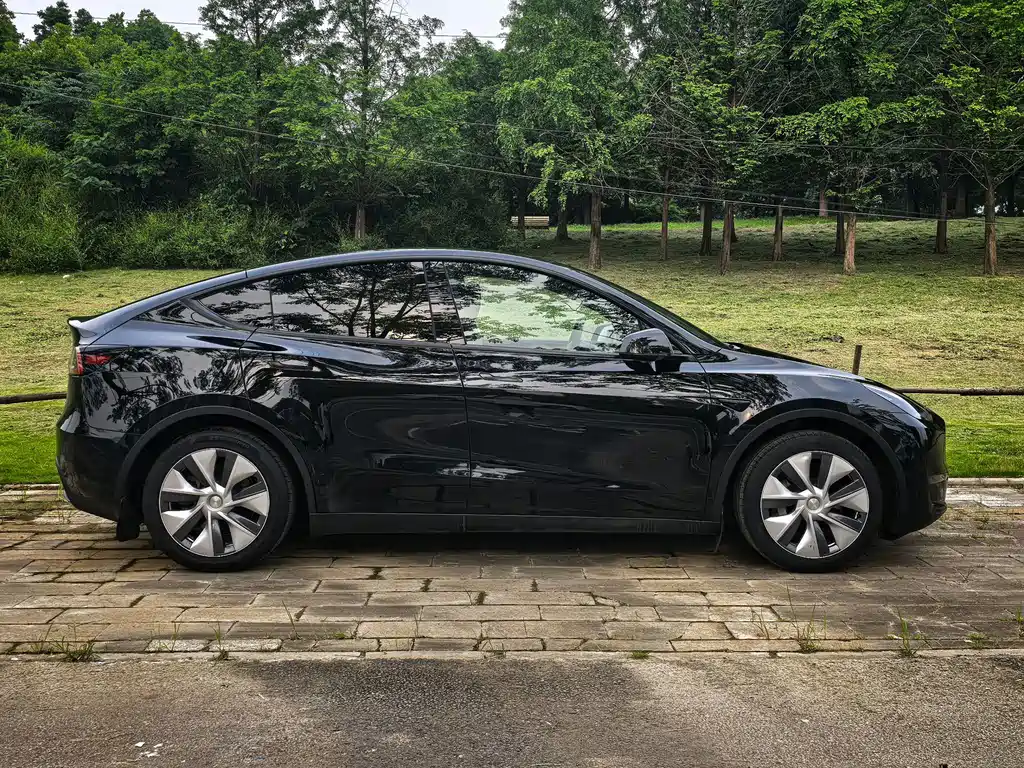 Tesla Model Y — миниатюра 2