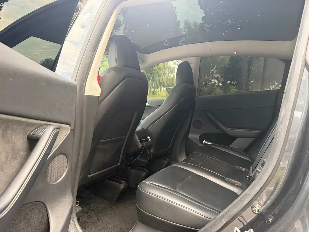 Tesla Model Y — миниатюра 6