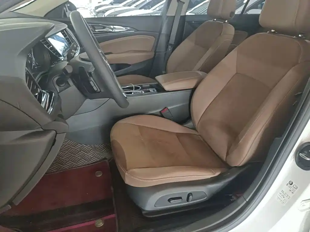 Buick Regal — миниатюра 15
