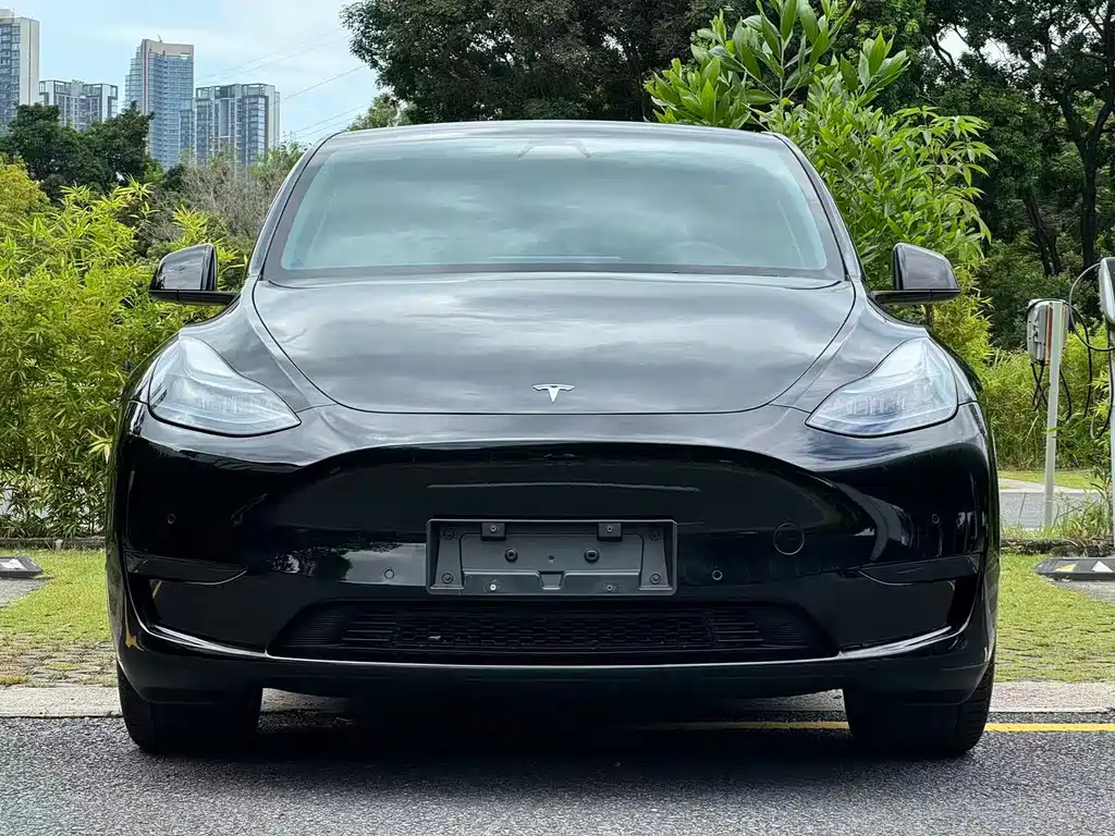 Tesla Model Y — миниатюра 2