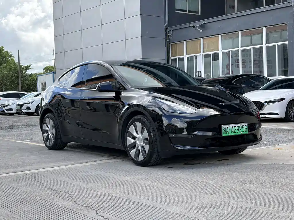 Tesla Model Y — миниатюра 2