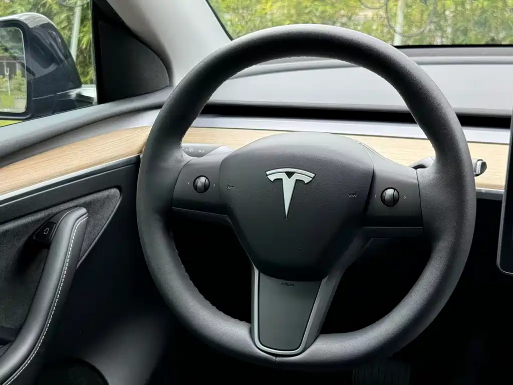 Tesla Model Y — миниатюра 10