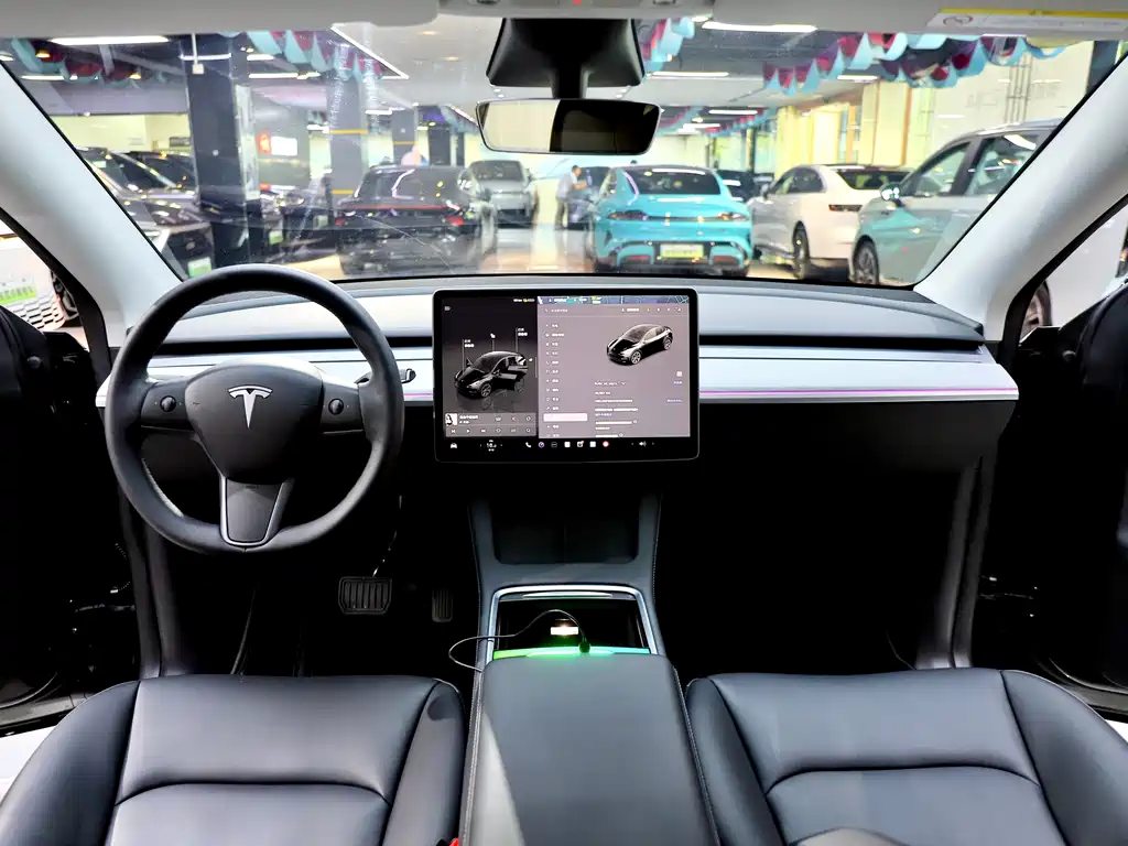 Tesla Model Y — миниатюра 10