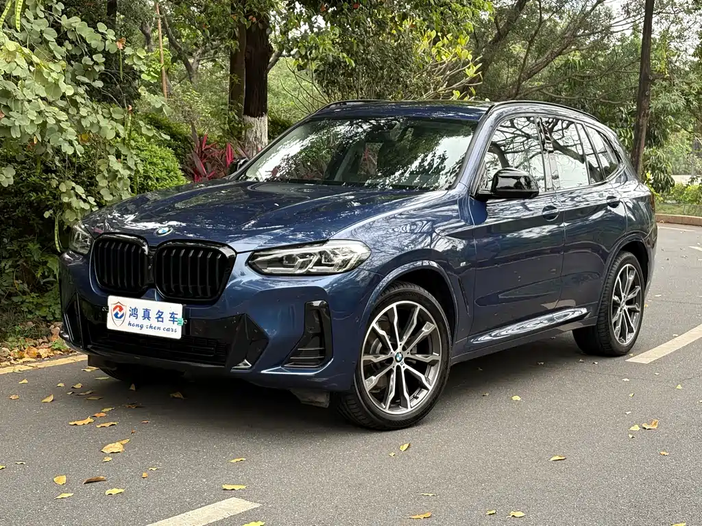 BMW X3 2022 xDrive30i Lead M