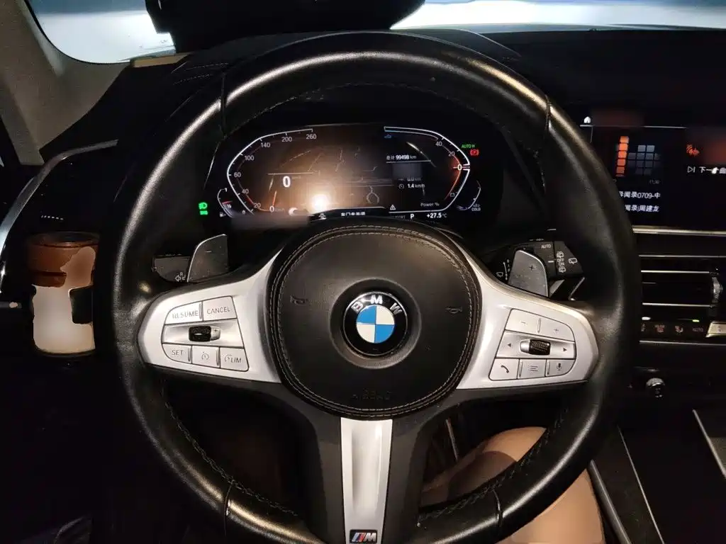 BMW X5 — миниатюра 7