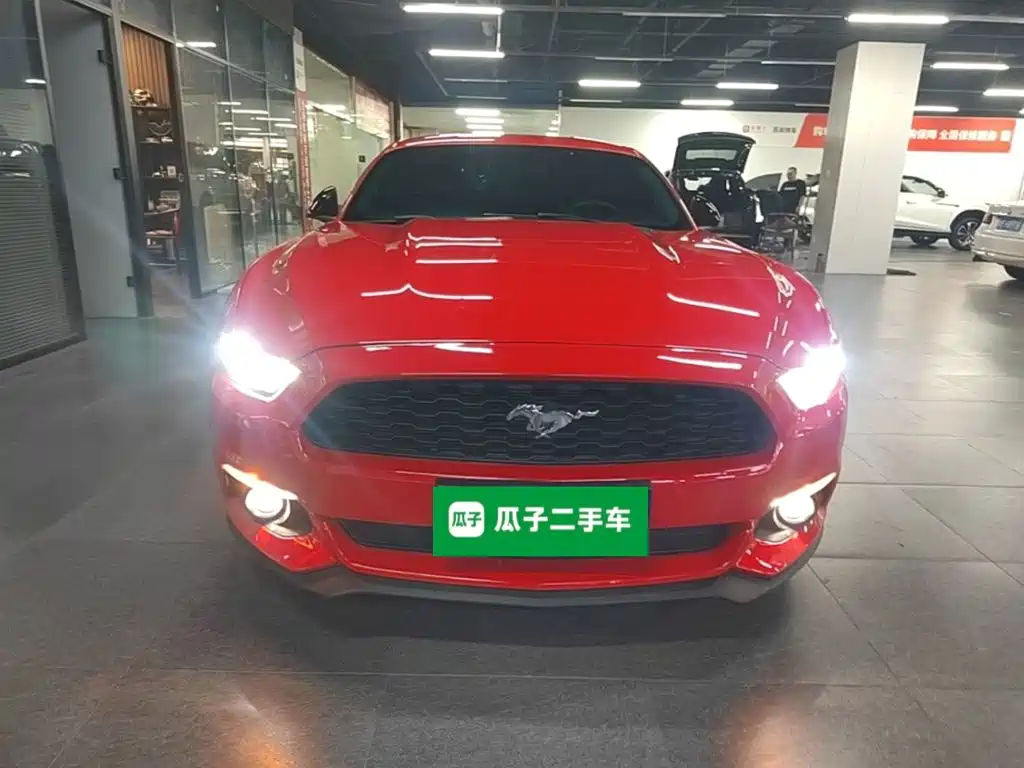 Ford Mustang — миниатюра 3