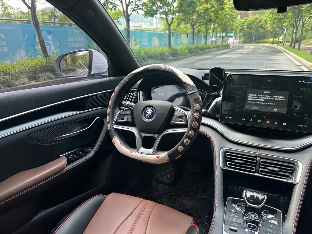 BYD PLUS — миниатюра 9
