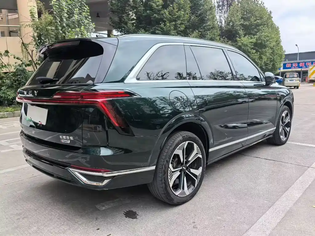 WEI PAI WEI BRAND BLUE MOUNTAIN