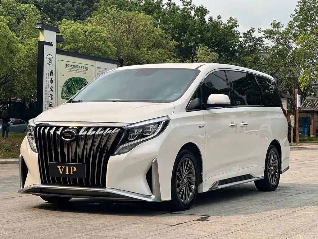 2021 GAC GN8 - zdjęcie 1 z 31