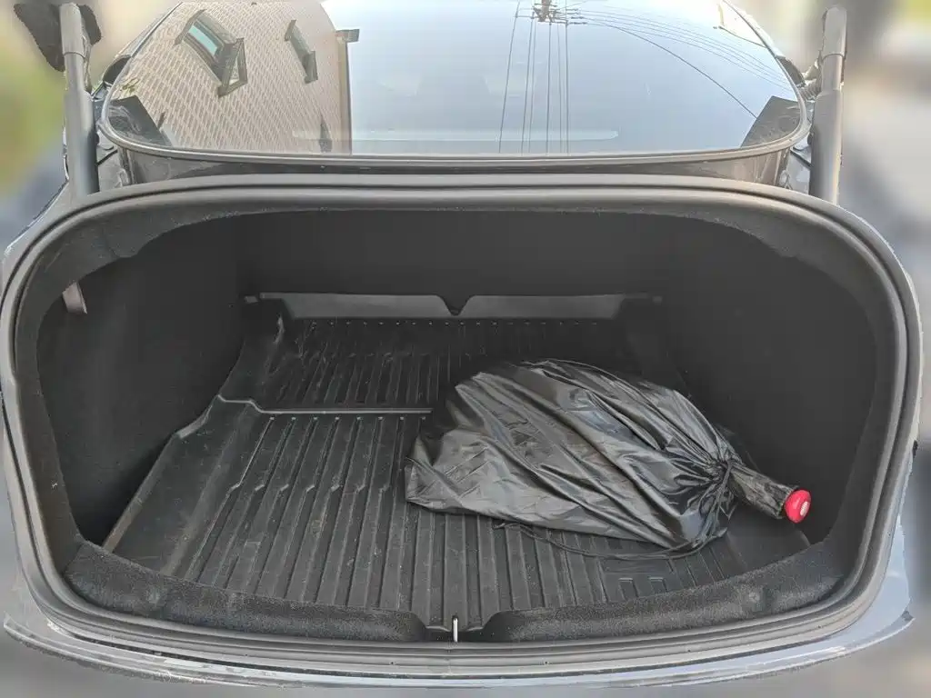 Tesla Model 3 — миниатюра 15