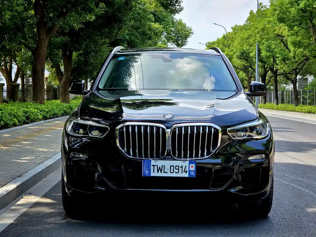 BMW X5 (Import) — миниатюра 4