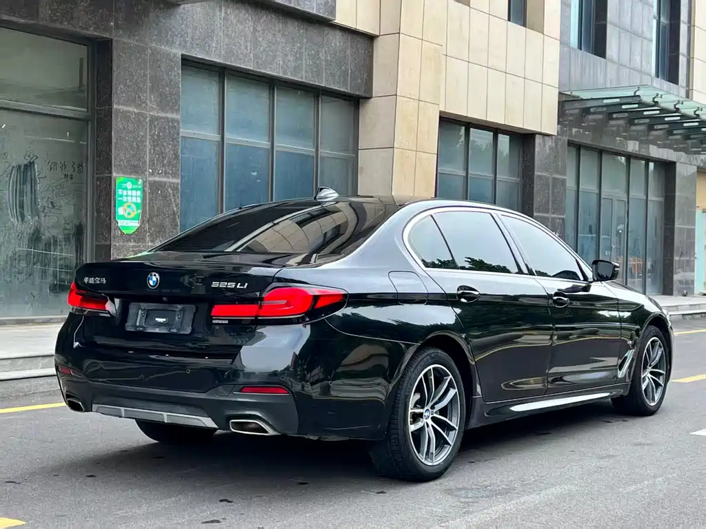 BMW 5 Series — миниатюра 4