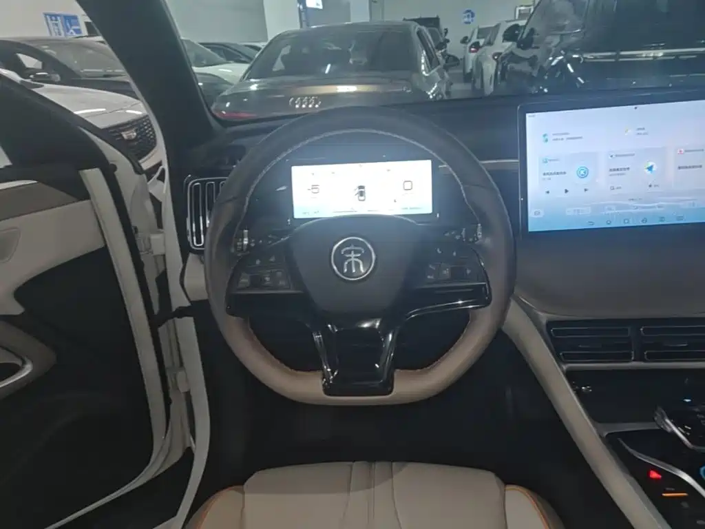 BYD Pro New Energy — миниатюра 11