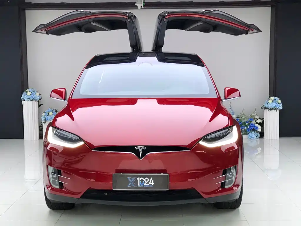 Tesla Model X — миниатюра 2