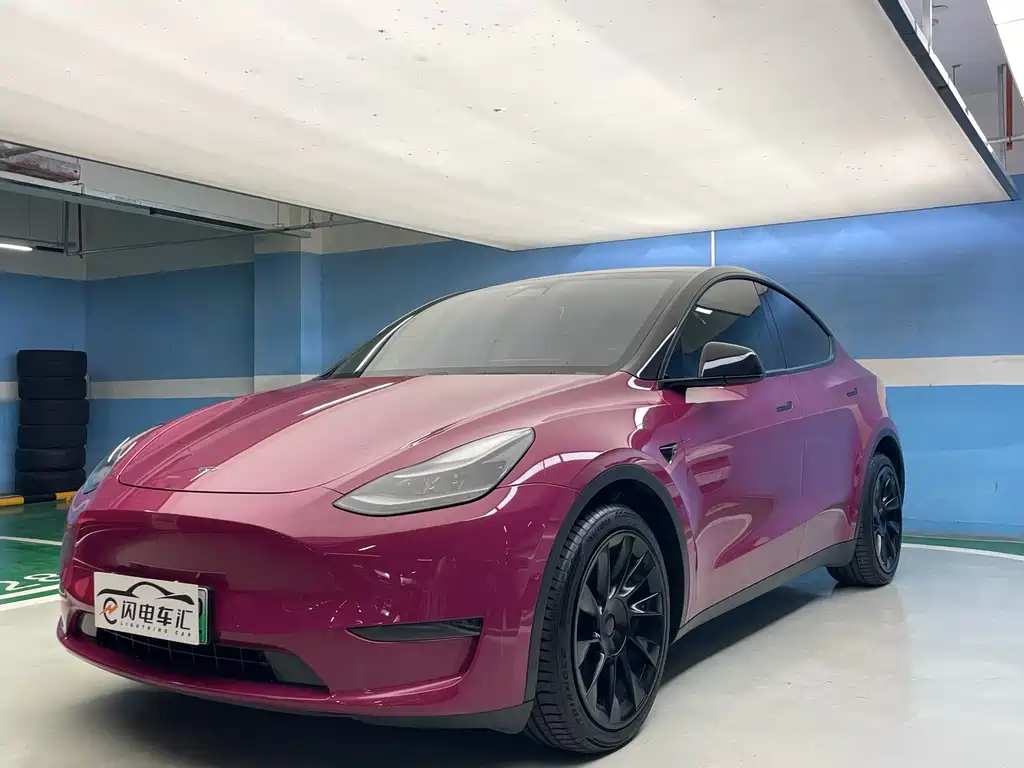 Tesla Model Y — миниатюра 2