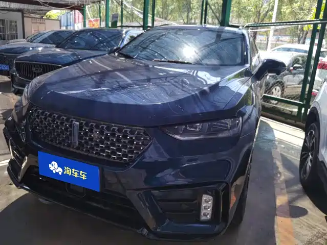 2020 Wey VV7