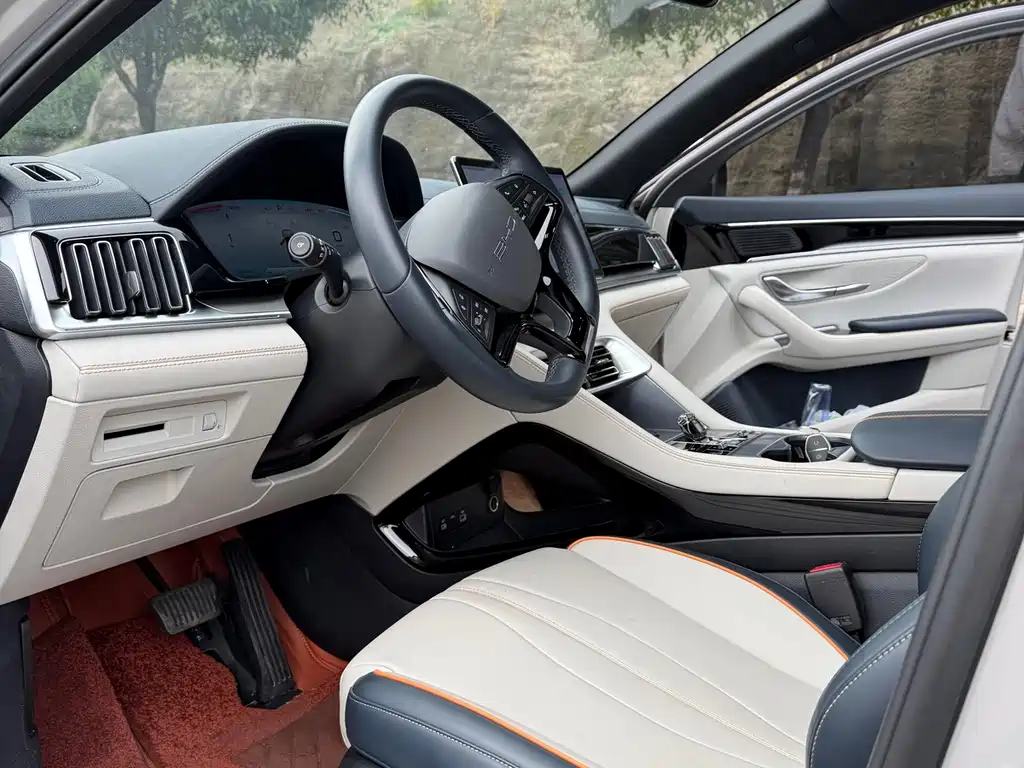 BYD PLUS New Energy — миниатюра 7