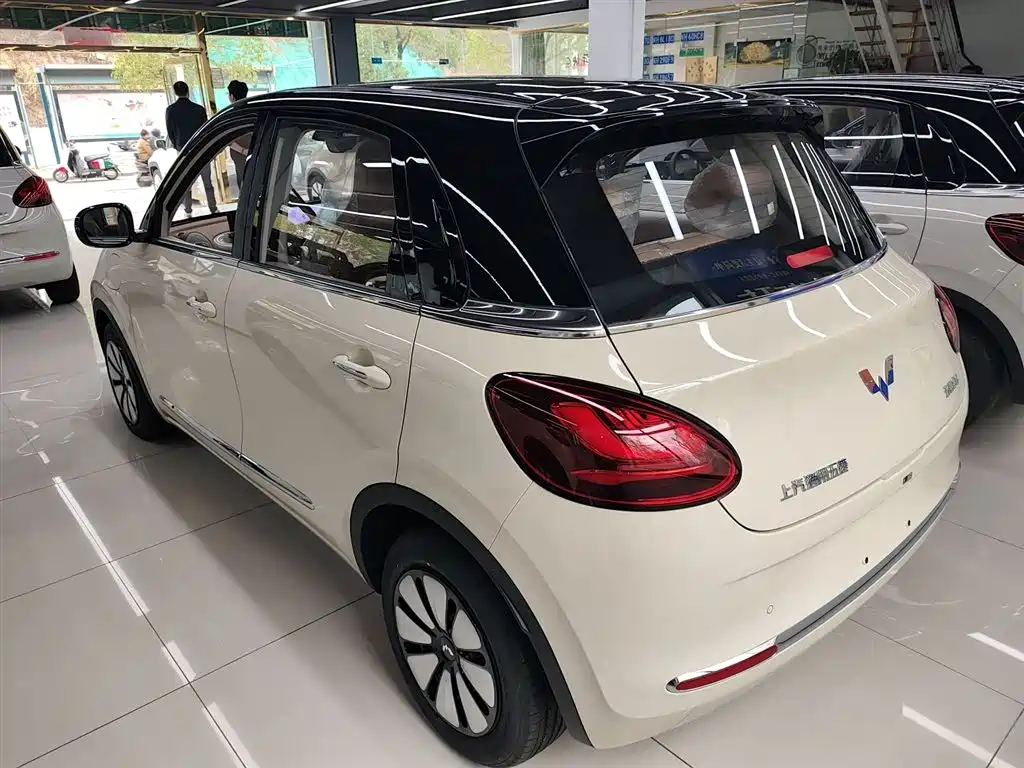 Wuling Binguo 2025 333km Enjoy