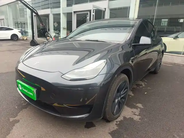 Tesla Model