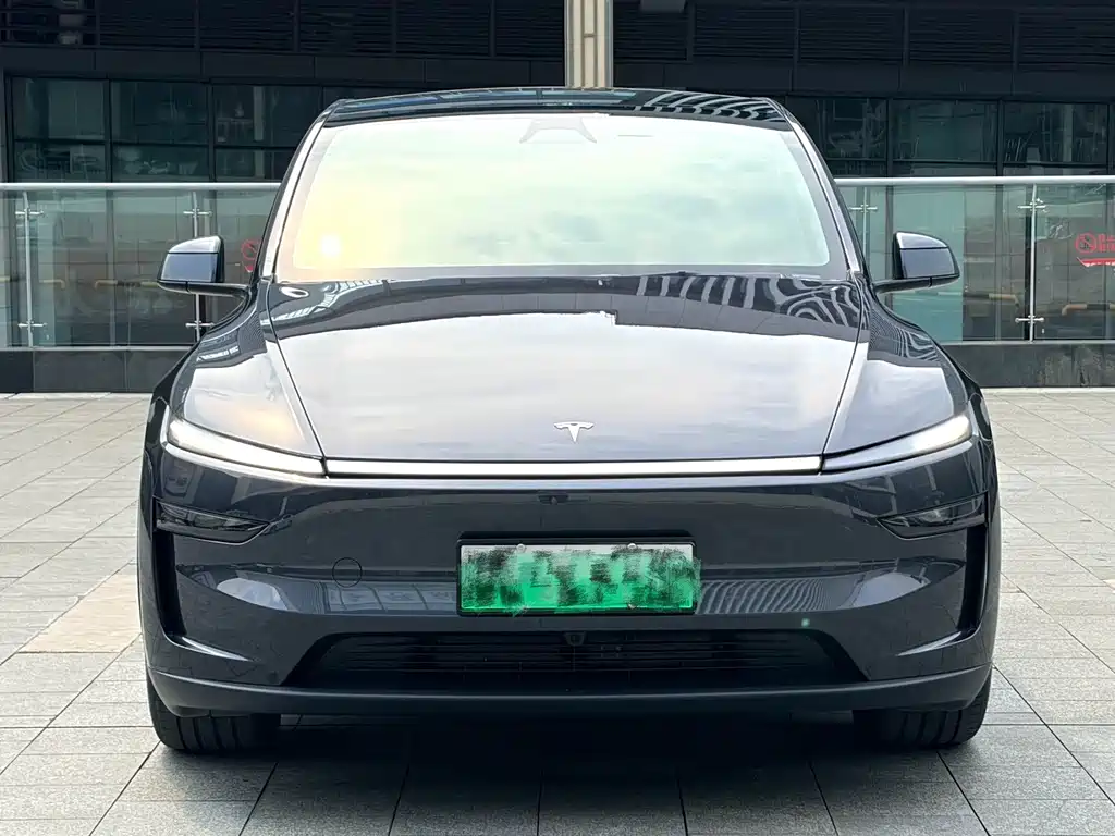 Tesla Model Y — миниатюра 2