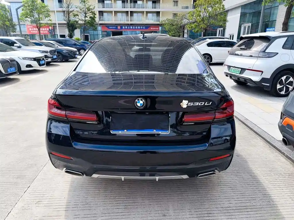 BMW 5 Series — миниатюра 5