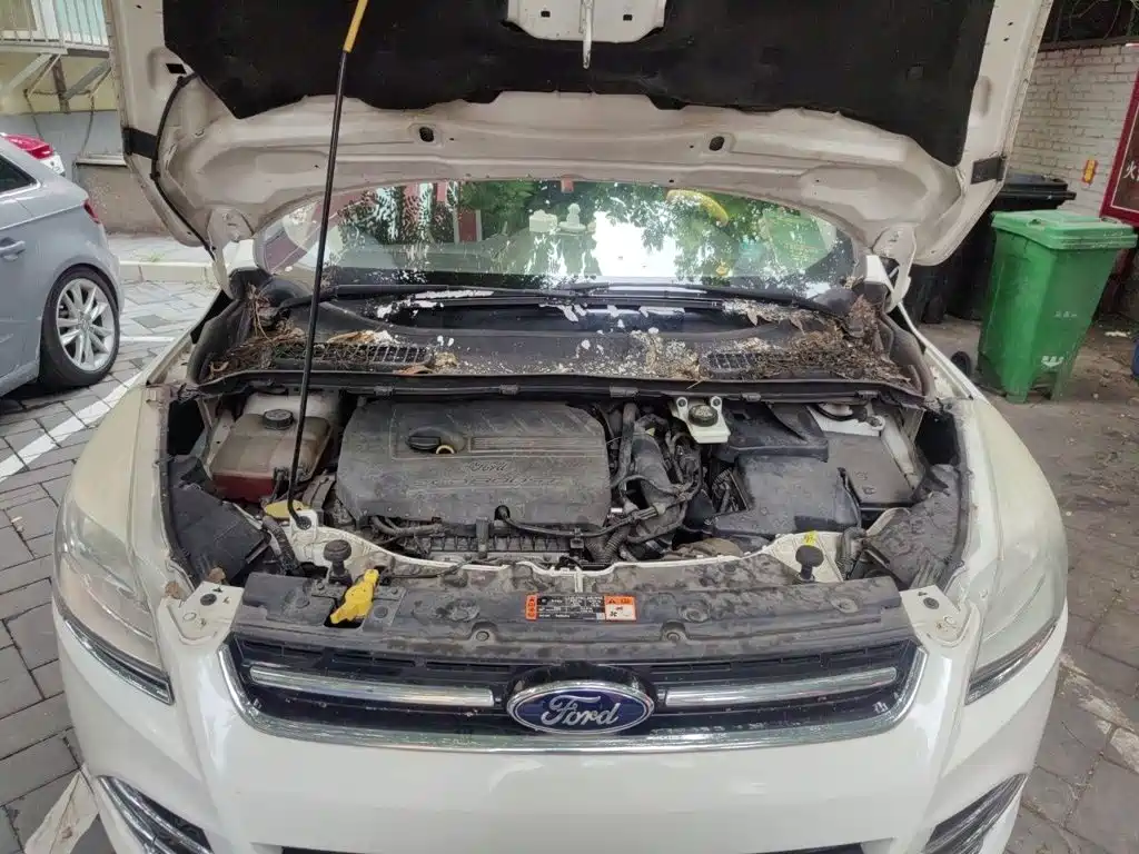 Ford Kuga — миниатюра 21