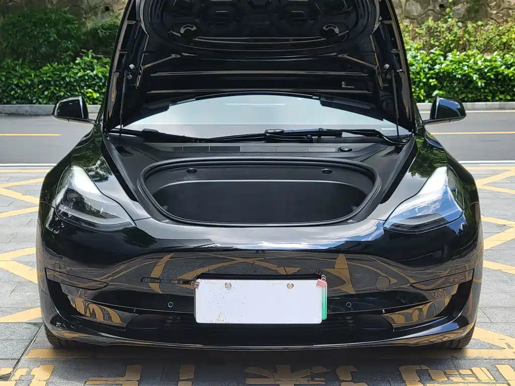 Tesla Model 3 — миниатюра 5