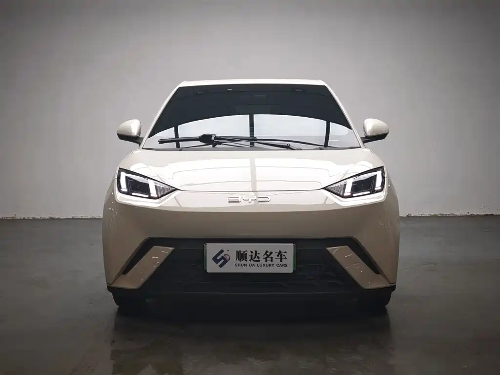BYD Seagull — миниатюра 2