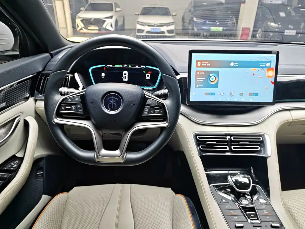 BYD PLUS New Energy — миниатюра 7