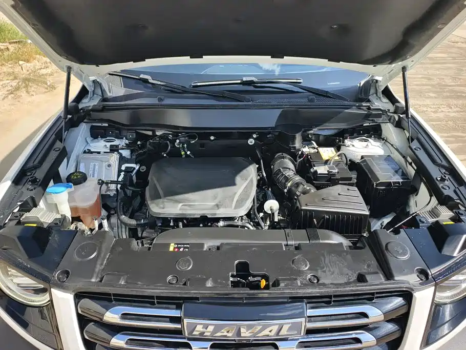 Haval Big Dog — миниатюра 10