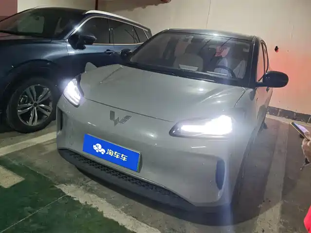 WULING AUTOMOBILE WULING BINGGUO PLUS 2024