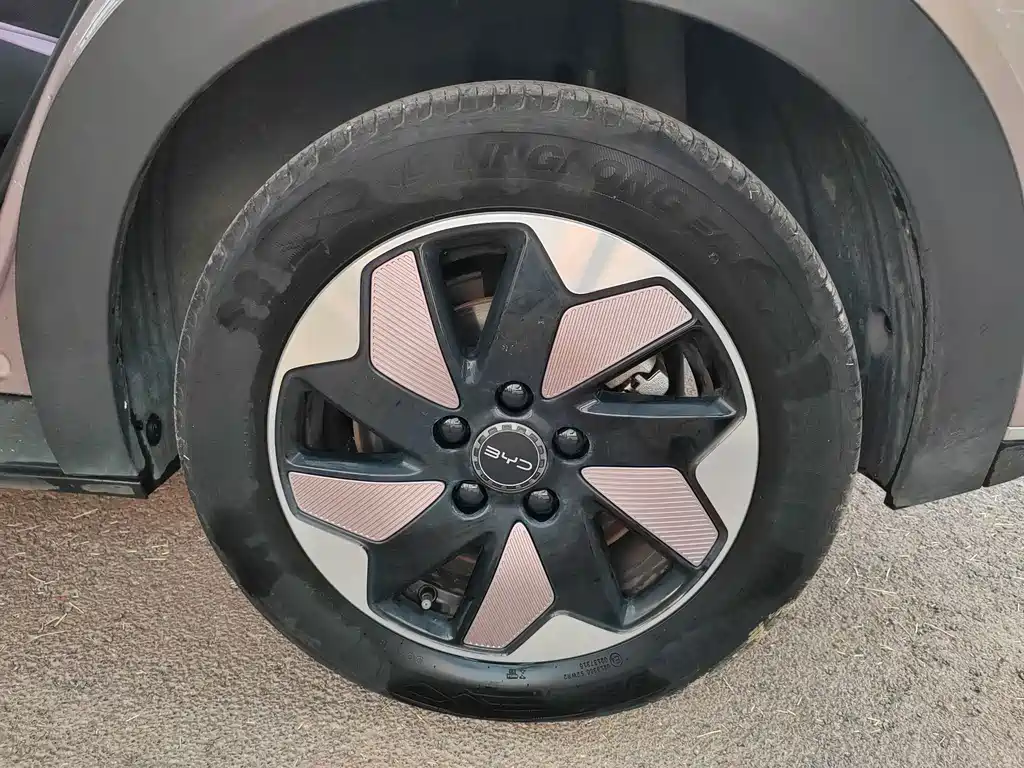 BYD Dolphin — миниатюра 23