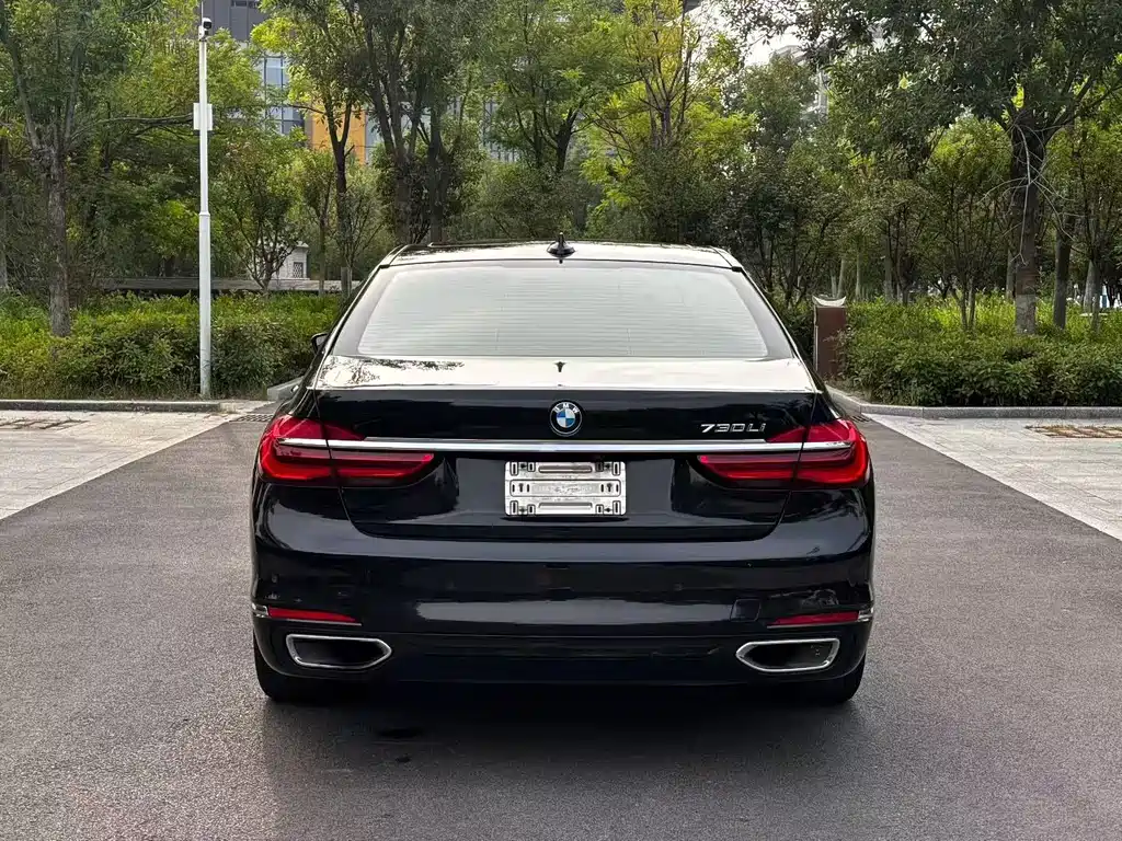 BMW 7 Series 730Li Leading Type, фото 8