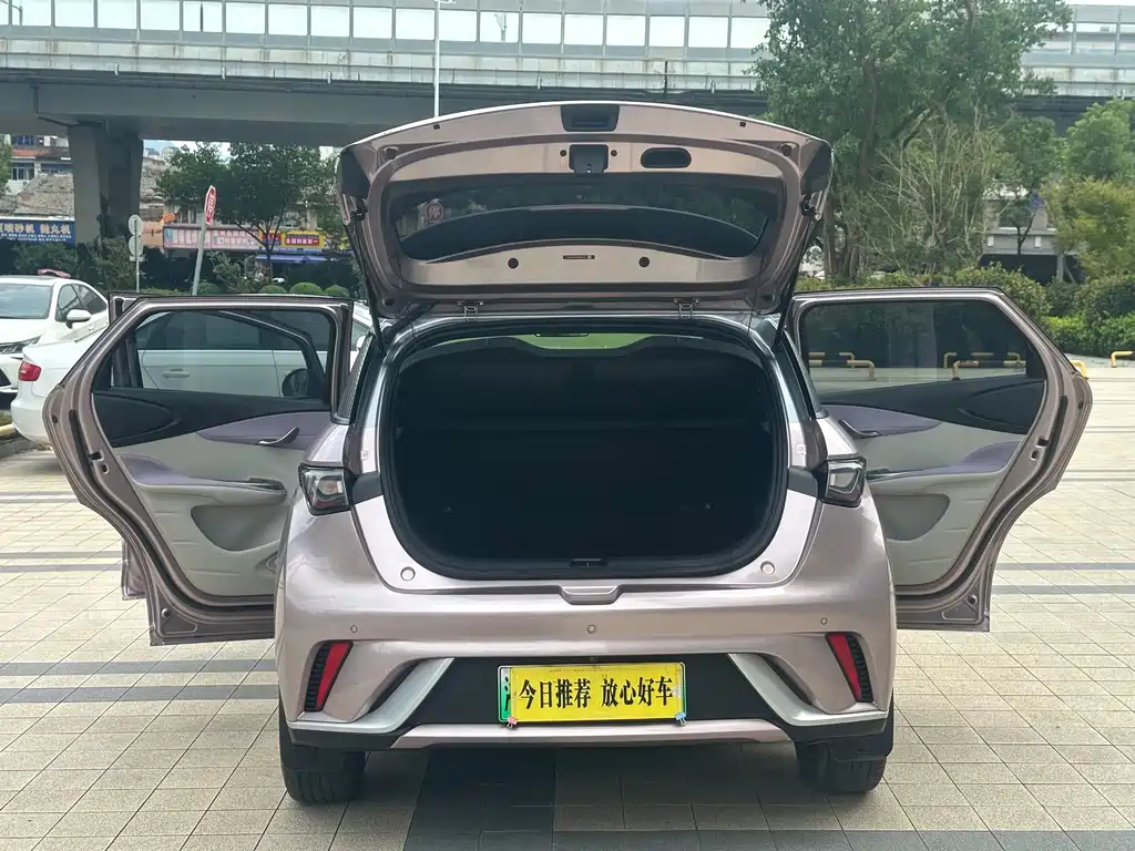 BYD Dolphin — миниатюра 25