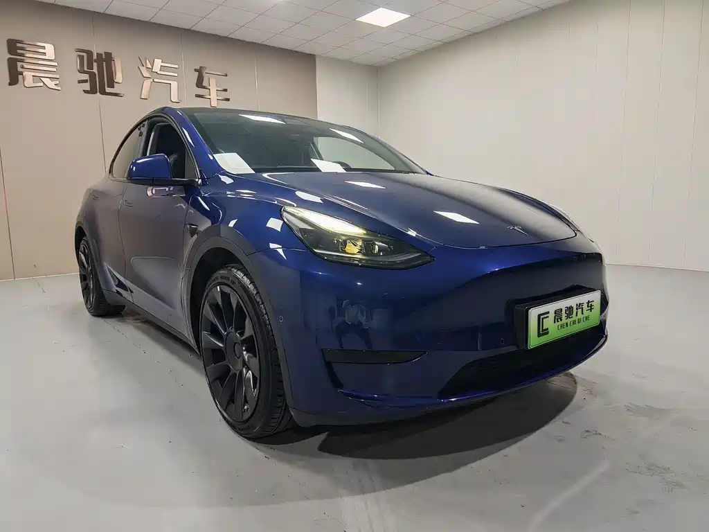 Tesla Model Y — миниатюра 3