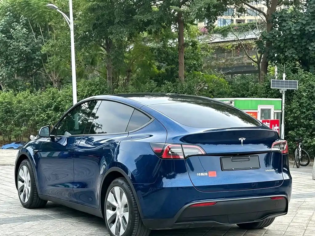Tesla Model Y — миниатюра 4