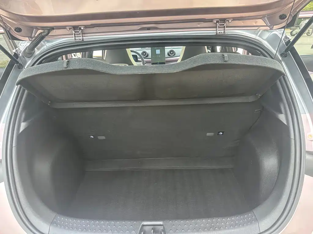 BYD Dolphin — миниатюра 24