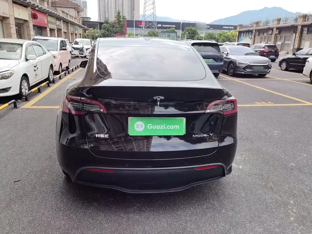 Tesla Model Y — миниатюра 6