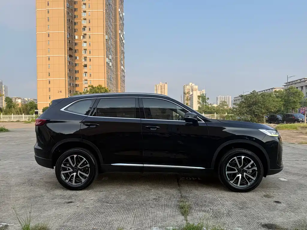 Haval H6 — миниатюра 5