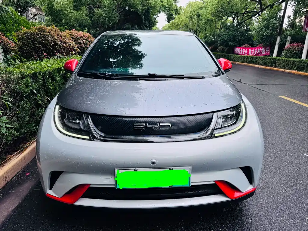 BYD Dolphin — миниатюра 2