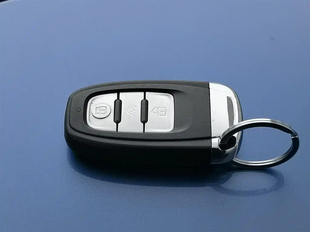 SAIC MAXUS CHASE G10