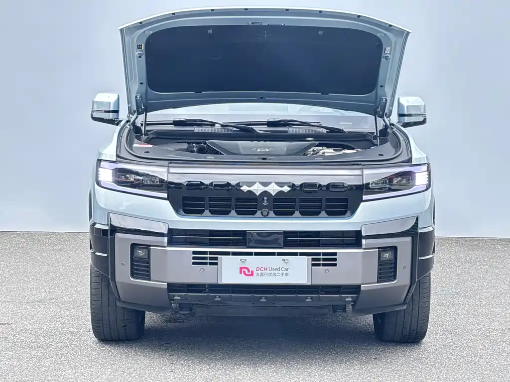 Fang Cheng Bao Leopard 8 — миниатюра 10