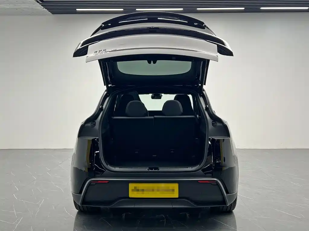 Tesla Model Y L — миниатюра 9