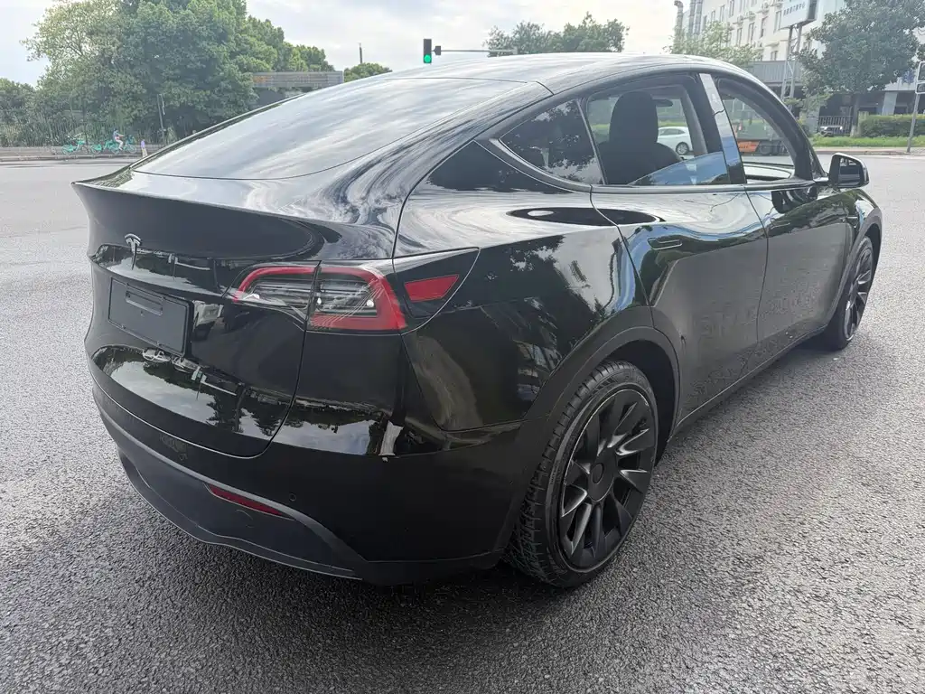 Tesla Model Y — миниатюра 7
