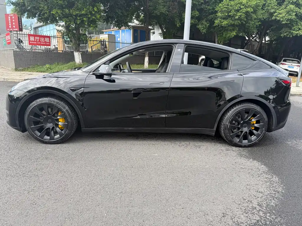 Tesla Model Y — миниатюра 4