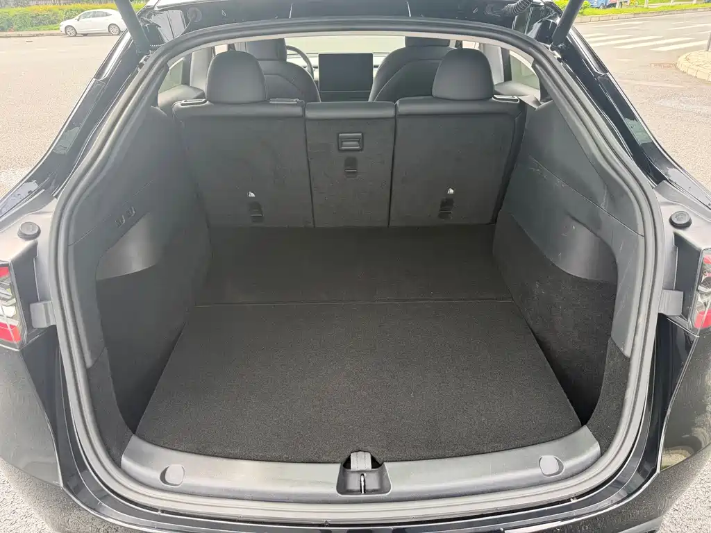 Tesla Model Y — миниатюра 8